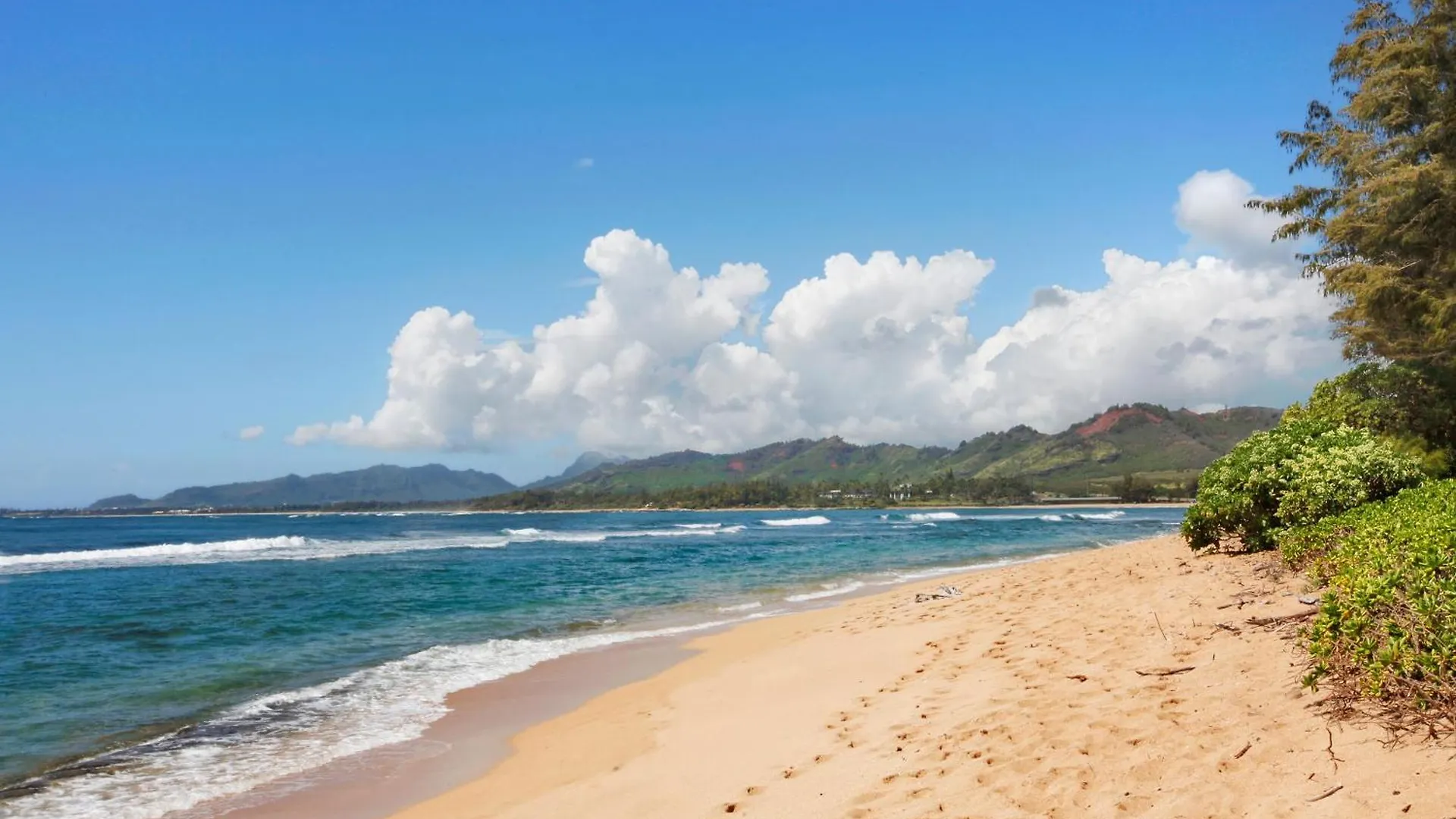 Apartment Islander On The Beach 352 Oceanfront *Penthouse* Ac Pool Kapa'a